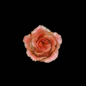 Rose Bespoke Hairpin-Silk Hairpin(Ronghua)